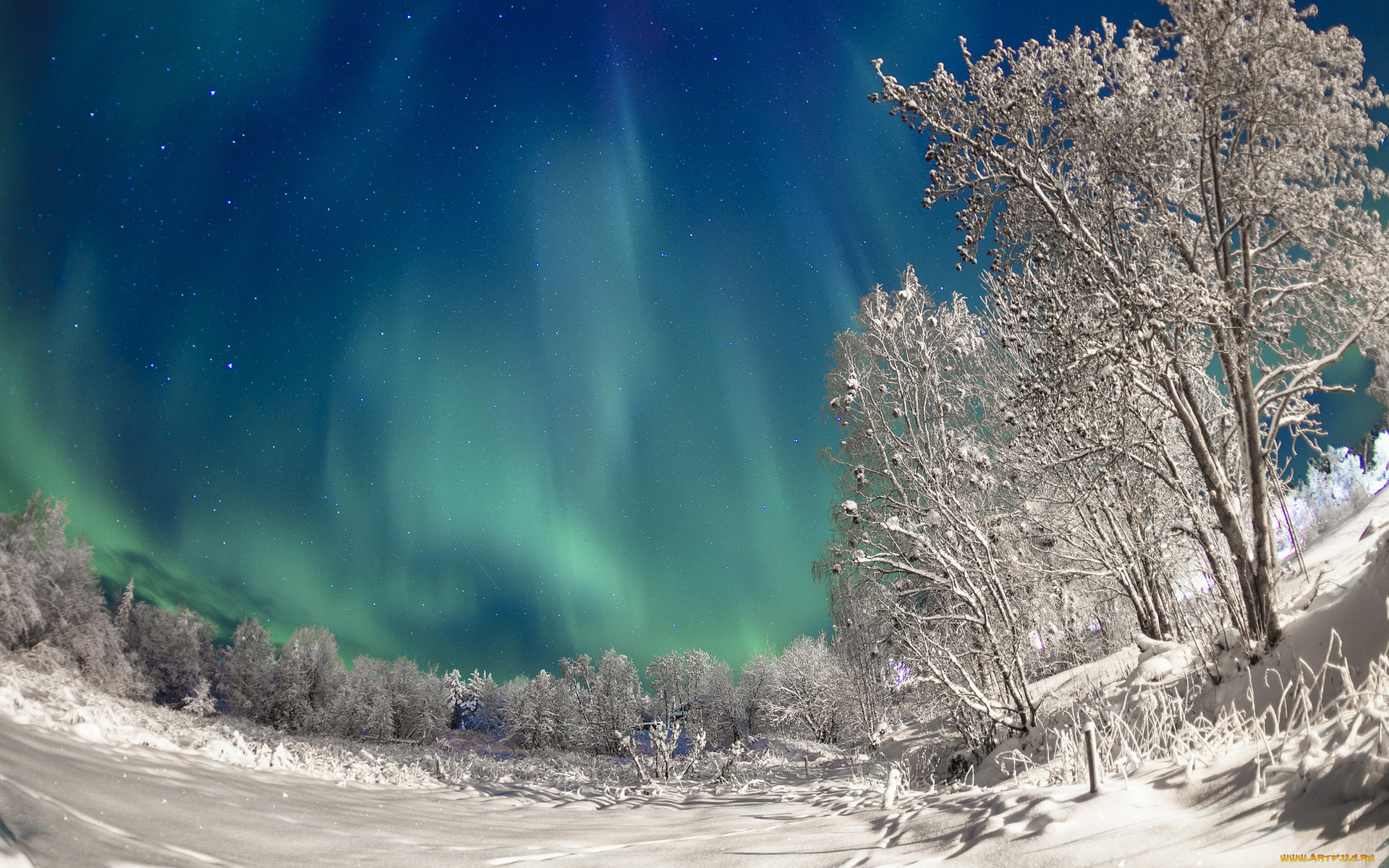 Северная природа. Эвенкия Северное сияние. Северное сияние в Мурманске. Зима полярное сияние. Снежная Эвенкия Северное сияние.